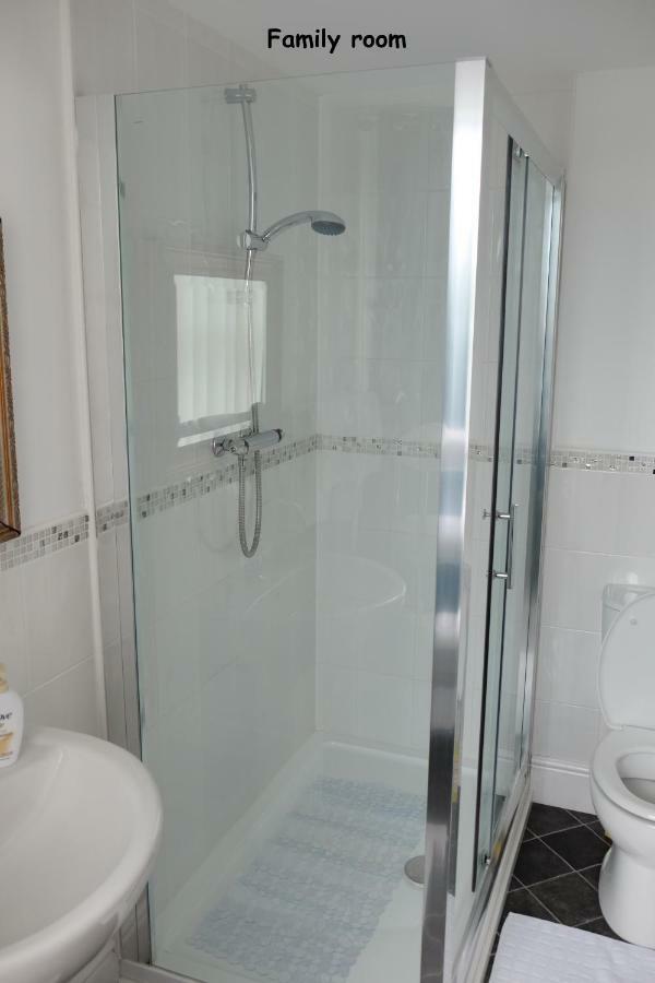 חלנדודנו Welsh Cosy Apartments מראה חיצוני תמונה